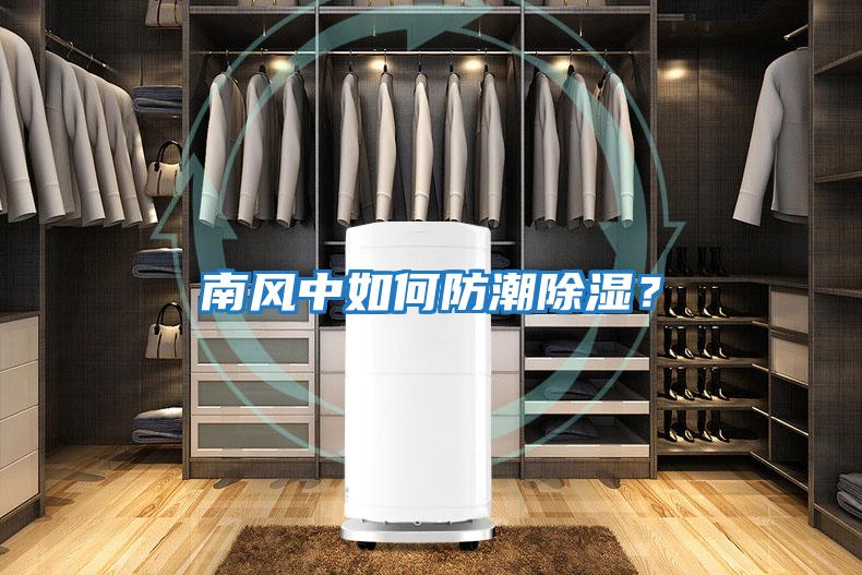 南風中如何防潮除濕？