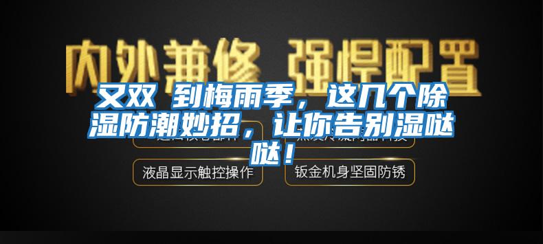 又雙叒到梅雨季，這幾個除濕防潮妙招，讓你告別濕噠噠！