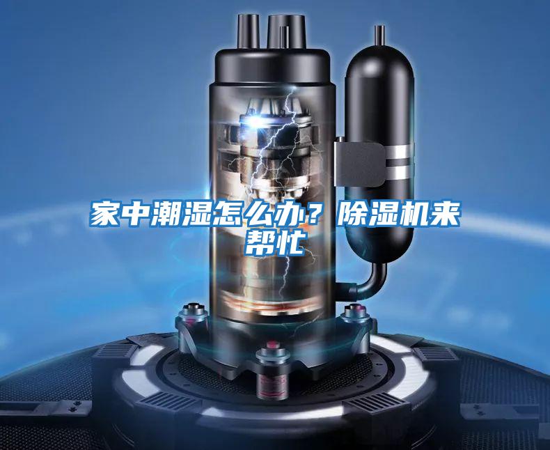 家中潮濕怎么辦？除濕機來幫忙
