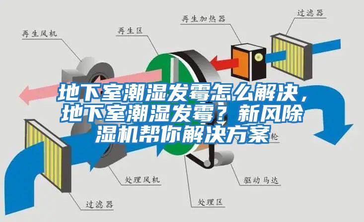 地下室潮濕發(fā)霉怎么解決，地下室潮濕發(fā)霉？新風(fēng)除濕機(jī)幫你解決方案