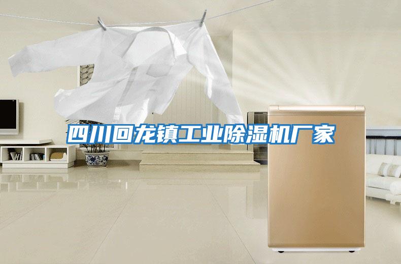 四川回龍鎮工業除濕機廠家