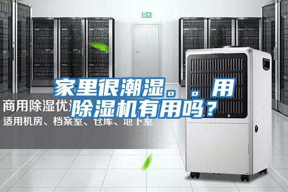 家里很潮濕。。用除濕機有用嗎？