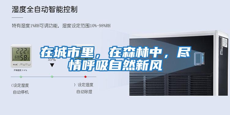 在城市里，在森林中，盡情呼吸自然新風