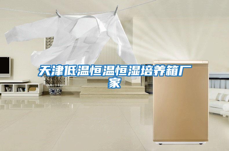 天津低溫恒溫恒濕培養箱廠家
