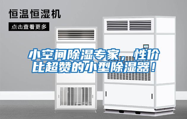 小空間除濕專家，性價比超贊的小型除濕器！