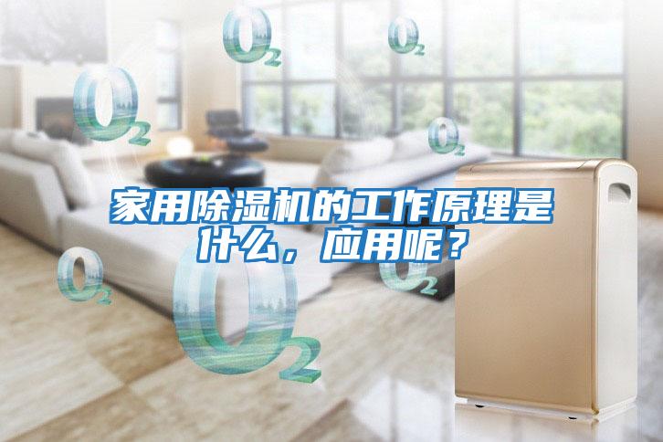 家用除濕機的工作原理是什么，應用呢？