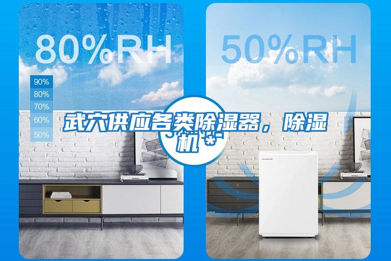 武穴供應(yīng)各類除濕器，除濕機(jī)＊