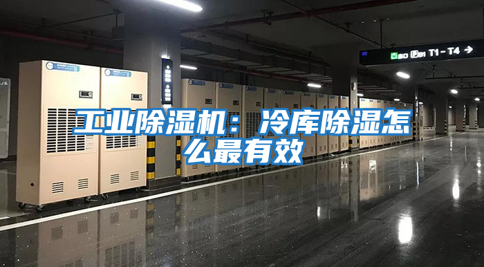 工業除濕機：冷庫除濕怎么最有效