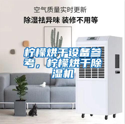 檸檬烘干設備參考，檸檬烘干除濕機