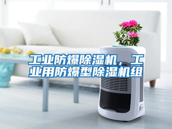 工業(yè)防爆除濕機(jī)，工業(yè)用防爆型除濕機(jī)組