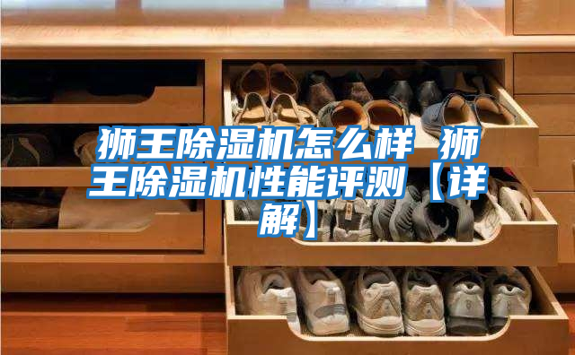 獅王除濕機(jī)怎么樣 獅王除濕機(jī)性能評(píng)測(cè)【詳解】