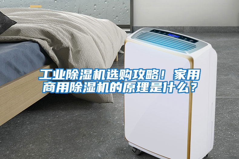 工業(yè)除濕機選購攻略！家用商用除濕機的原理是什么？