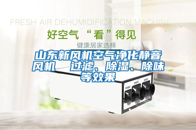 山東新風(fēng)機(jī)空氣凈化靜音風(fēng)機(jī)  過(guò)濾、除濕、除味等效果