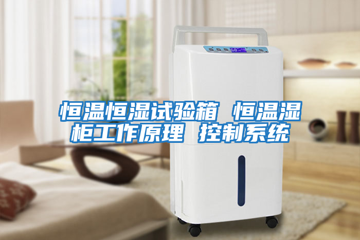 恒溫恒濕試驗箱 恒溫濕柜工作原理 控制系統