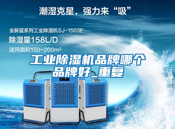 工業除濕機品牌哪個品牌好_重復