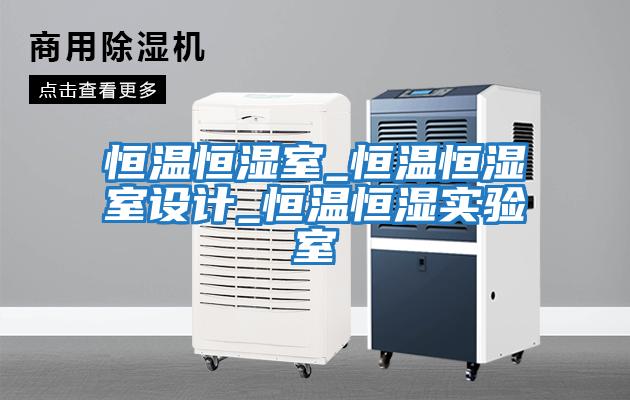 恒溫恒濕室_恒溫恒濕室設(shè)計_恒溫恒濕實(shí)驗室