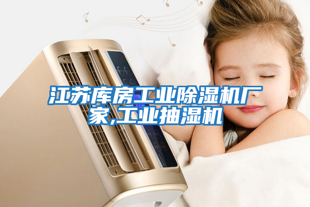 江蘇庫房工業(yè)除濕機(jī)廠家,工業(yè)抽濕機(jī)