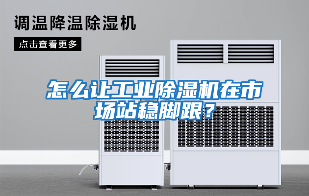 怎么讓工業除濕機在市場站穩腳跟？