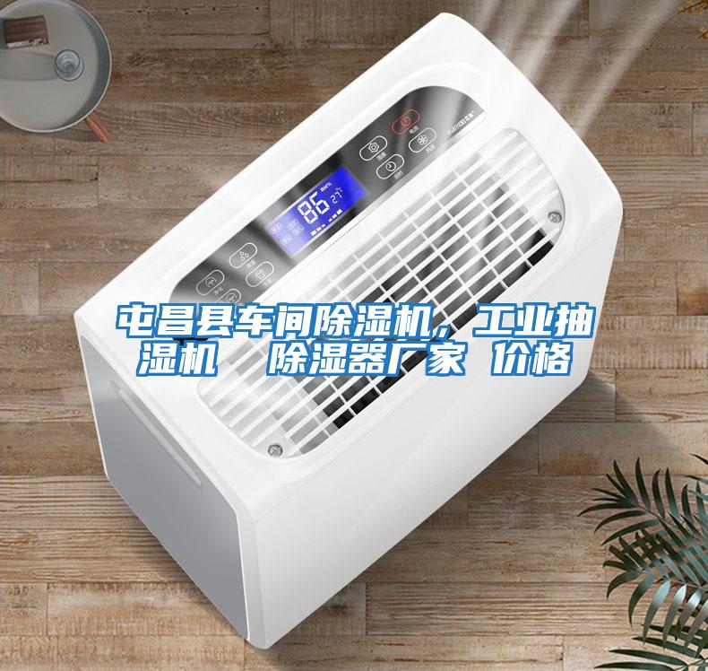 屯昌縣車間除濕機，工業抽濕機  除濕器廠家 價格