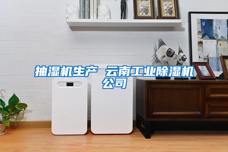 抽濕機生產 云南工業除濕機公司