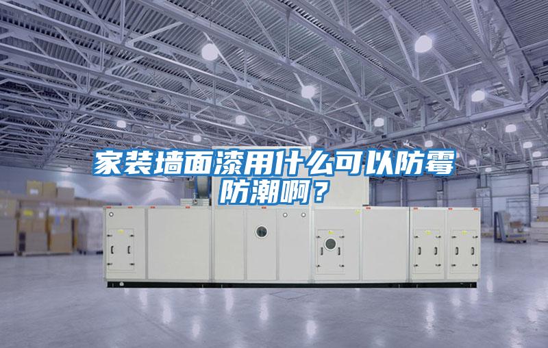 家裝墻面漆用什么可以防霉防潮啊？