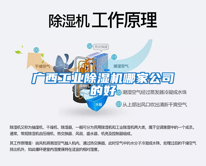 廣西工業除濕機哪家公司的好
