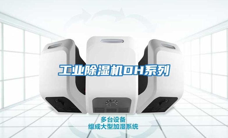 工業除濕機DH系列
