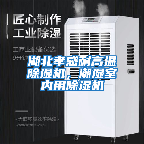 湖北孝感耐高溫除濕機，潮濕室內用除濕機