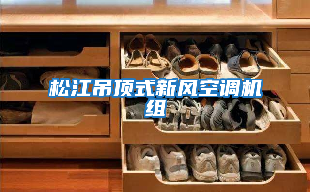 松江吊頂式新風空調機組