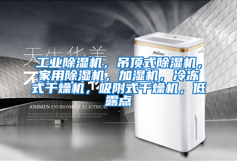 工業除濕機，吊頂式除濕機，家用除濕機，加濕機，冷凍式干燥機，吸附式干燥機，低露點