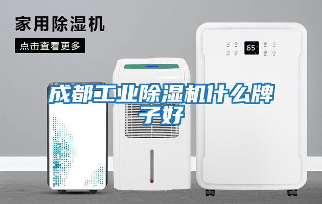 成都工業(yè)除濕機什么牌子好