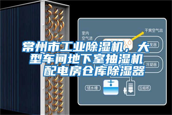 常州市工業(yè)除濕機，大型車間地下室抽濕機  配電房倉庫除濕器