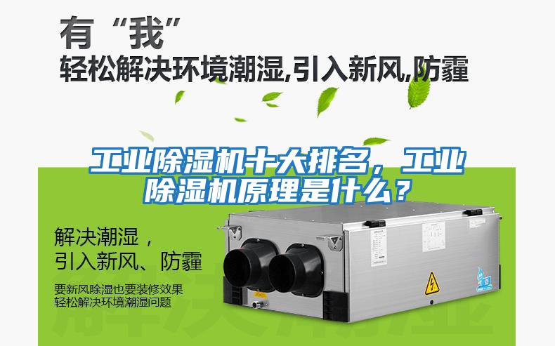 工業除濕機十大排名，工業除濕機原理是什么？
