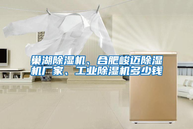 巢湖除濕機、合肥峻邁除濕機廠家、工業(yè)除濕機多少錢
