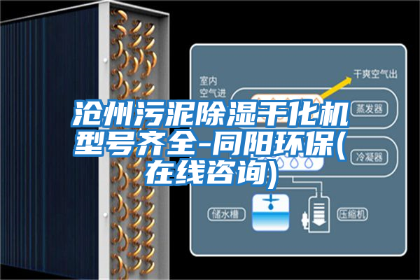 滄州污泥除濕干化機型號齊全-同陽環保(在線咨詢)