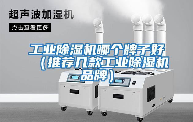 工業除濕機哪個牌子好（推薦幾款工業除濕機品牌）