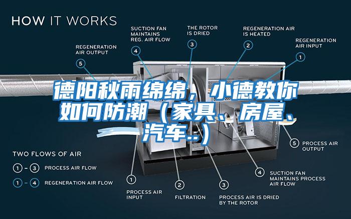 德陽秋雨綿綿，小德教你如何防潮（家具、房屋、汽車..）