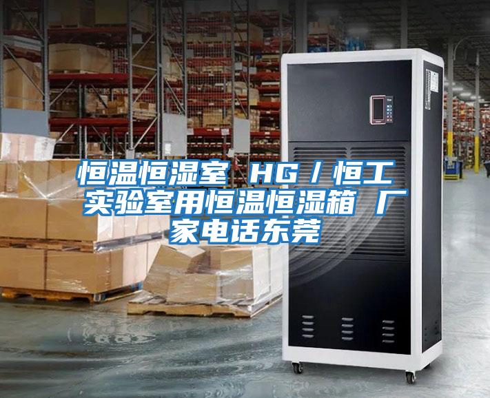 恒溫恒濕室 HG／恒工 實(shí)驗室用恒溫恒濕箱 廠家電話東莞