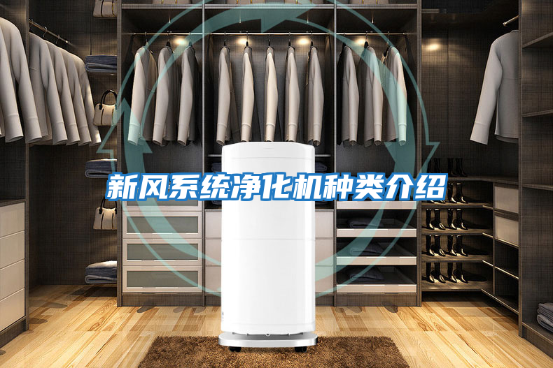 新風(fēng)系統(tǒng)凈化機(jī)種類介紹