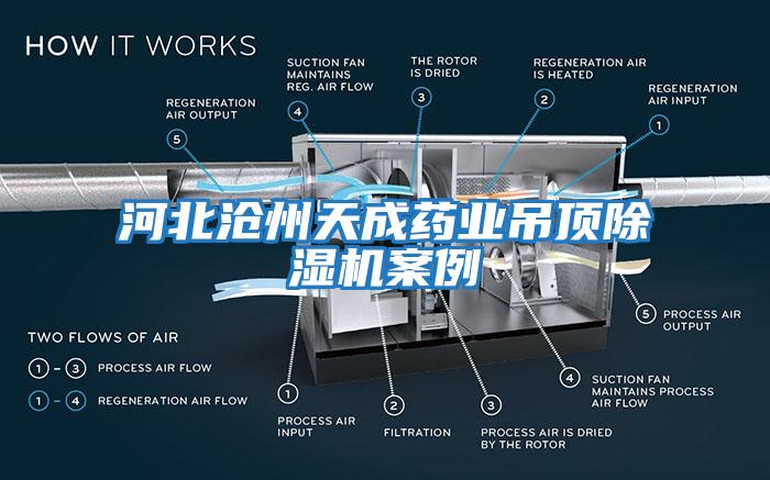 河北滄州天成藥業吊頂除濕機案例