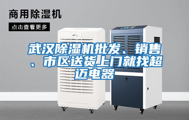 武漢除濕機批發、銷售、市區送貨上門就找超邁電器