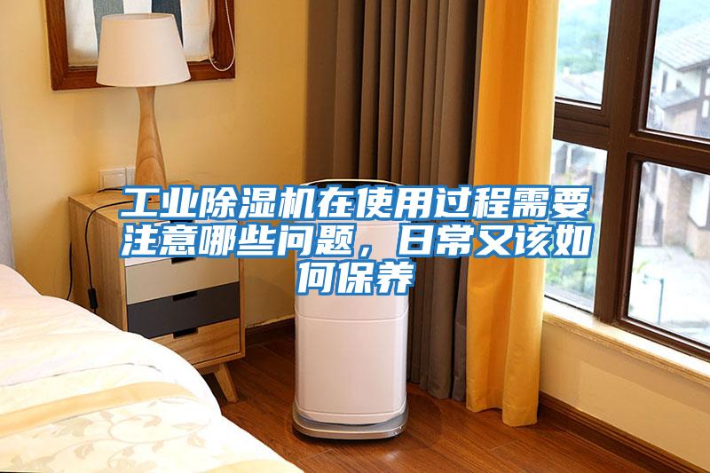 工業(yè)除濕機(jī)在使用過(guò)程需要注意哪些問(wèn)題，日常又該如何保養(yǎng)