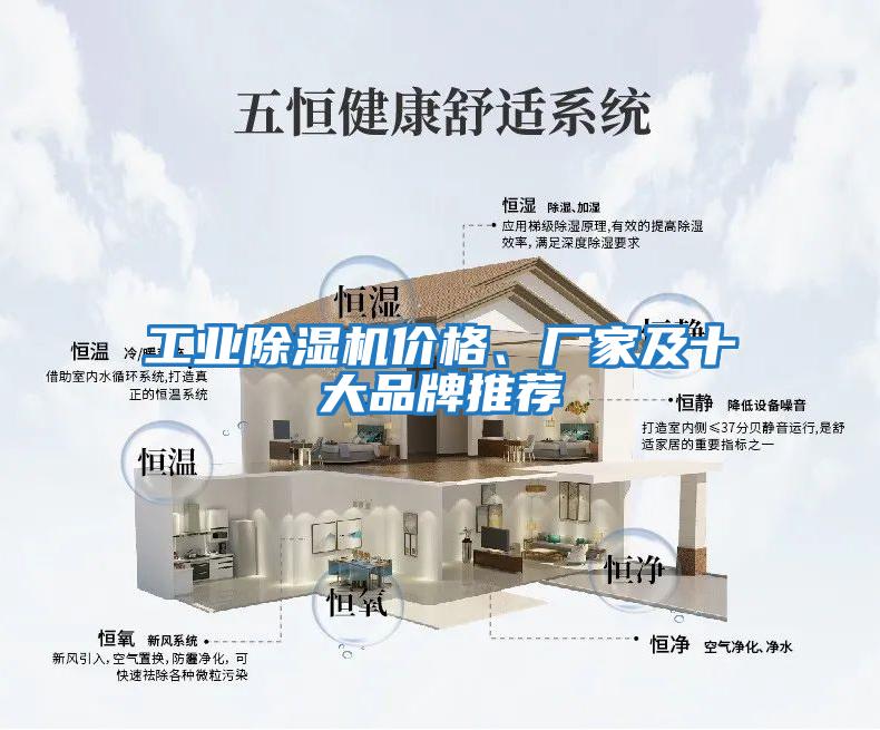 工業(yè)除濕機(jī)價(jià)格、廠家及十大品牌推薦