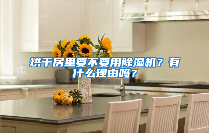 烘干房里要不要用除濕機(jī)？有什么理由嗎？