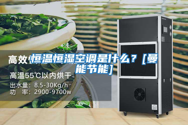 恒溫恒濕空調是什么？[曼能節能]