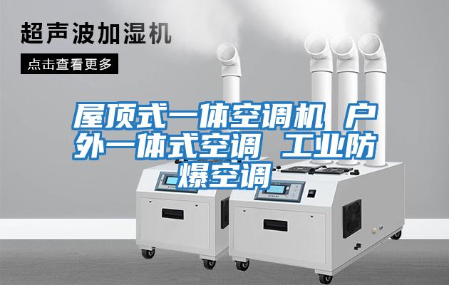 屋頂式一體空調(diào)機 戶外一體式空調(diào) 工業(yè)防爆空調(diào)
