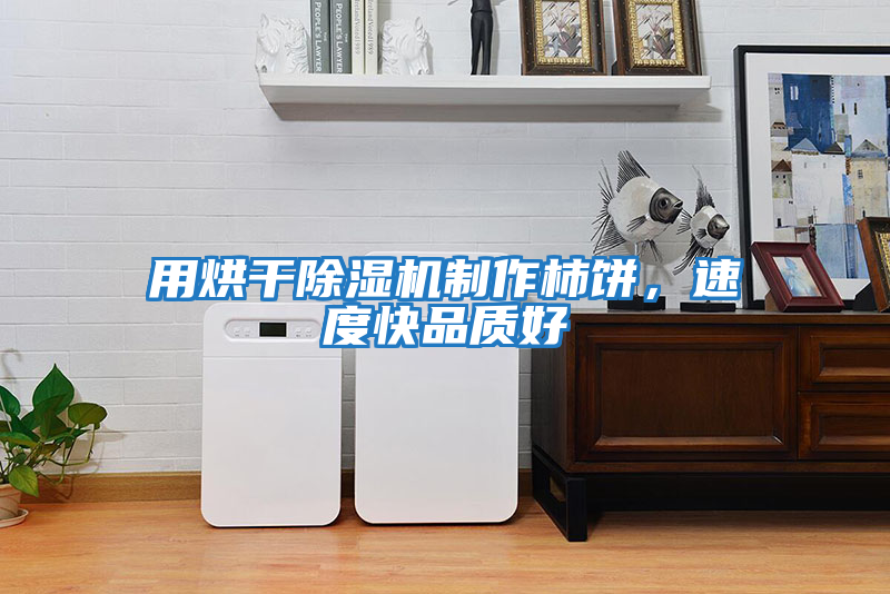 用烘干除濕機(jī)制作柿餅，速度快品質(zhì)好