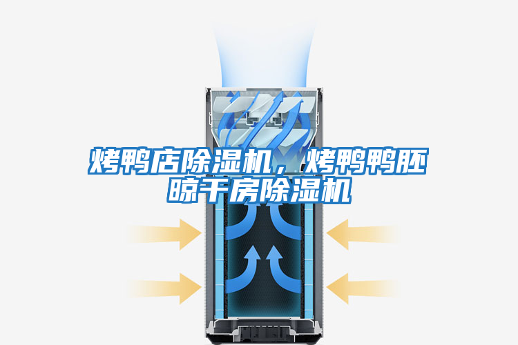 烤鴨店除濕機，烤鴨鴨胚晾干房除濕機