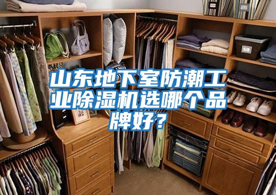 山東地下室防潮工業除濕機選哪個品牌好？