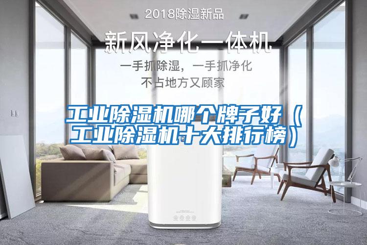 工業除濕機哪個牌子好（工業除濕機十大排行榜）